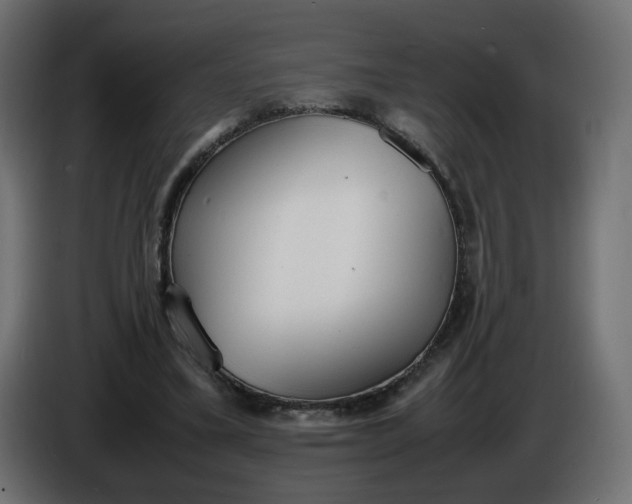 X0000086340395200704131748