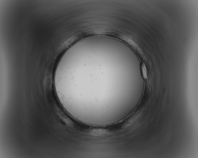 X0000086340397200704131748