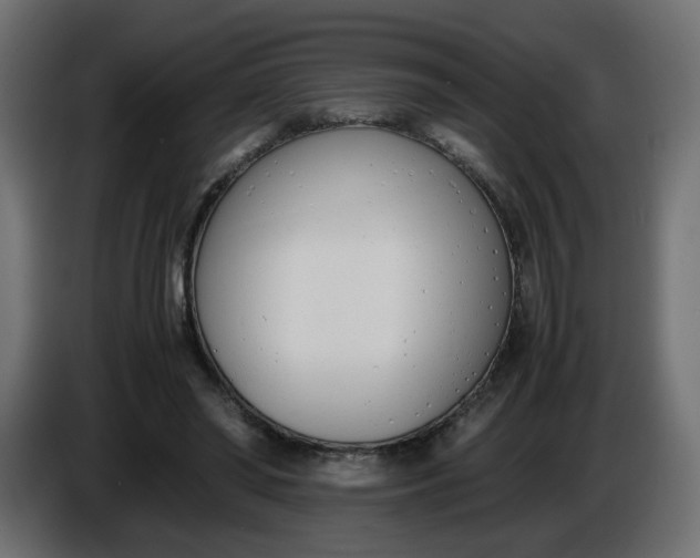 X0000086340398200704131748