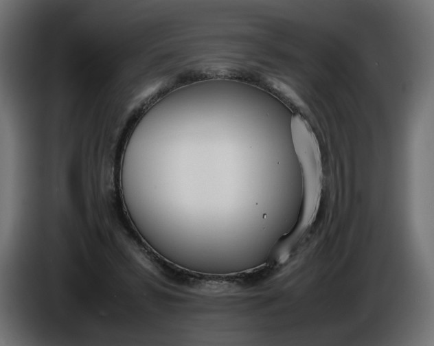 X0000086340399200704131748