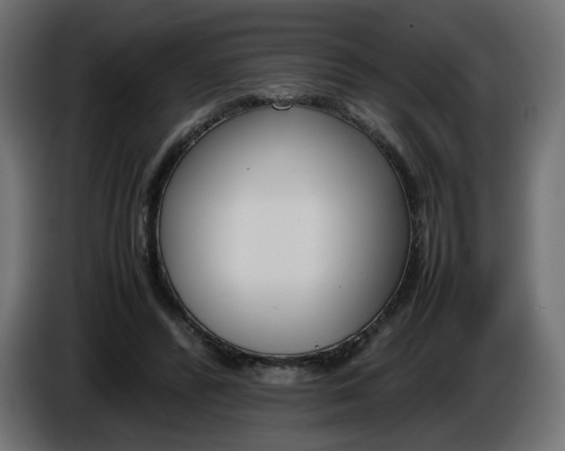 X0000086340400200704131748