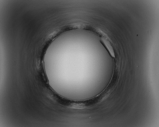 X0000086340403200704131748