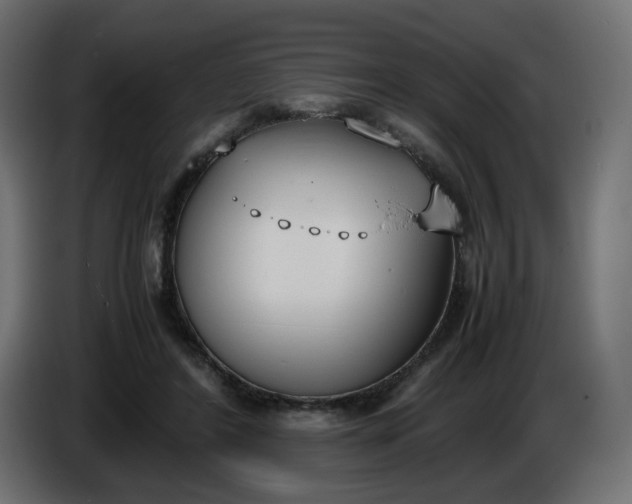 X0000086340404200704131748