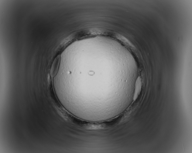 X0000086340405200704131748