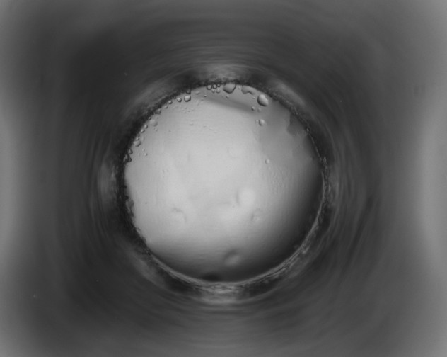 X0000086340410200704131748