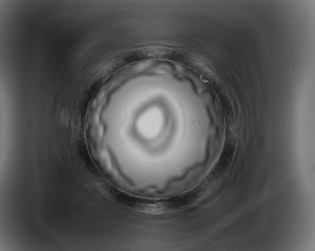 X0000086340411200704131748