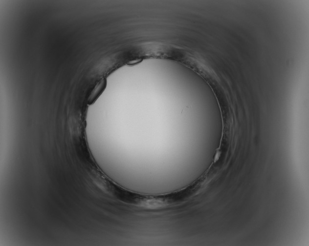 X0000086340413200704131748