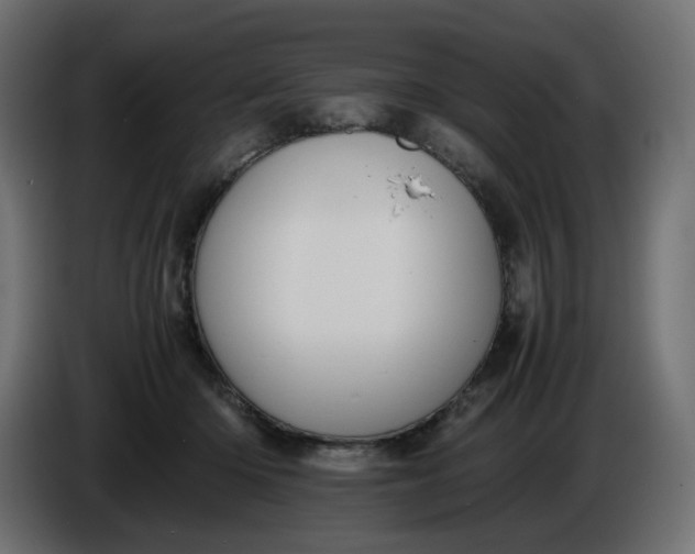 X0000086340414200704131748
