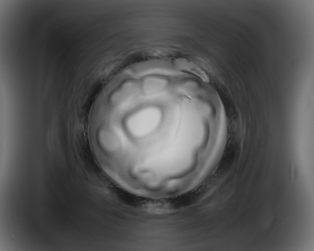 X0000086340415200704131748