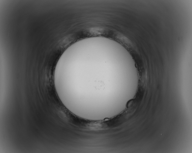 X0000086340418200704131748