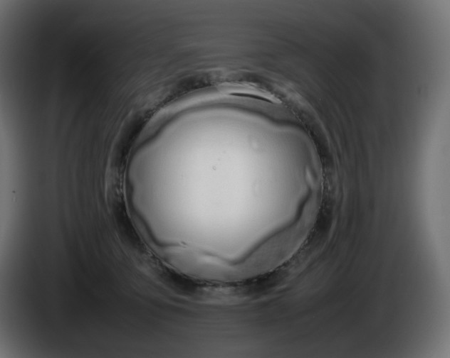 X0000086340419200704131748