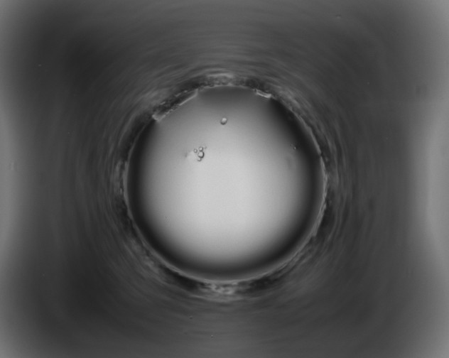 X0000086340423200704131748