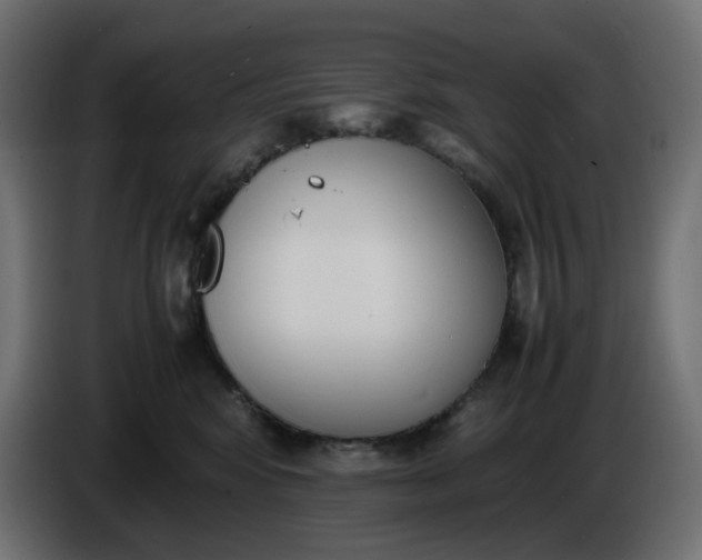 X0000086340424200704131748