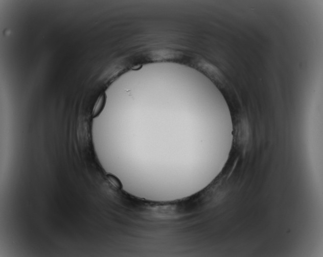 X0000086340426200704131748