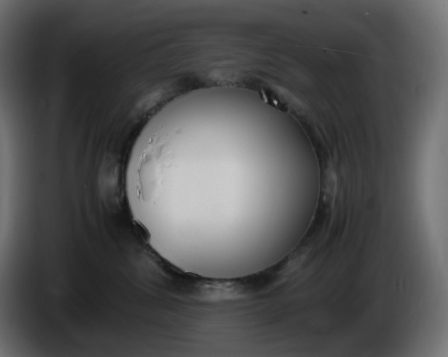 X0000086340428200704131748