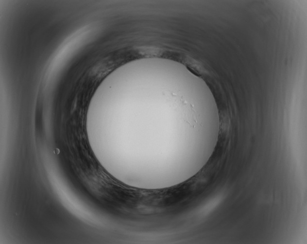 X0000086340431200704131747