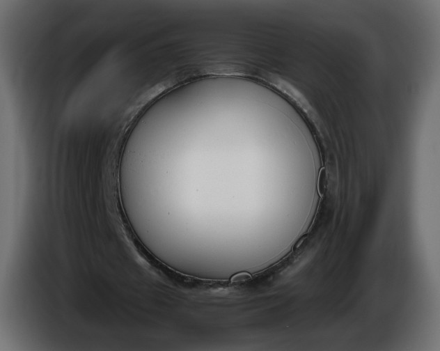 X0000086340433200704131747