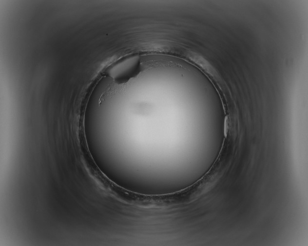 X0000086340434200704131747