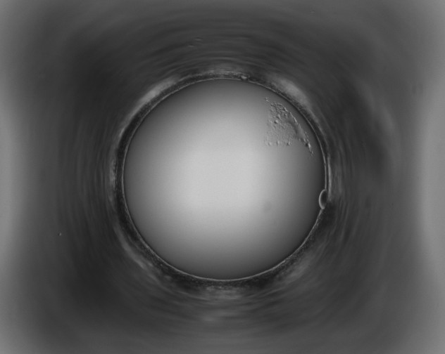 X0000086340435200704131747