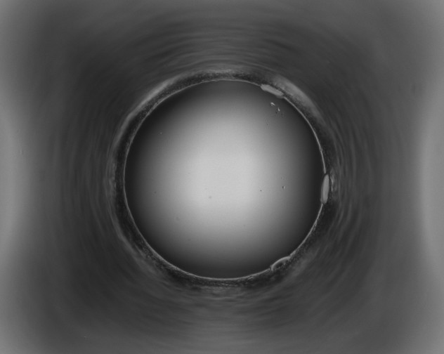 X0000086340436200704131747