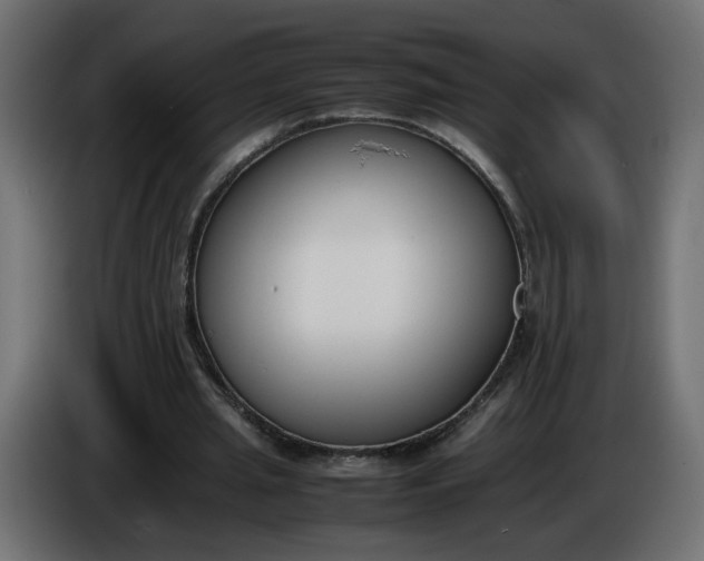 X0000086340437200704131747