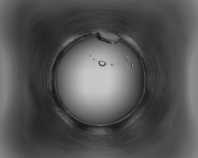 X0000086340439200704131747