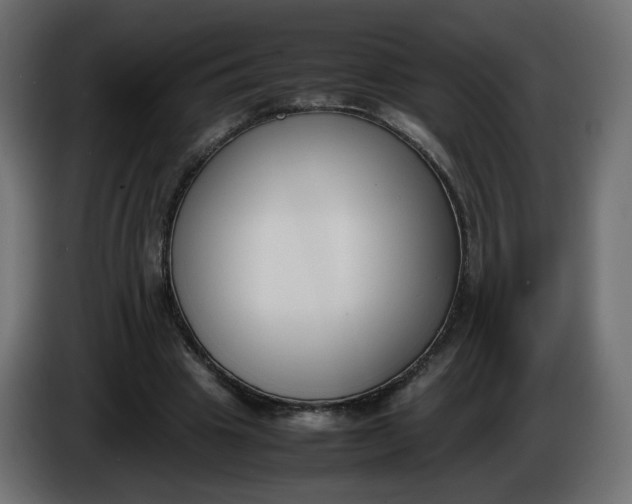 X0000086340441200704131747