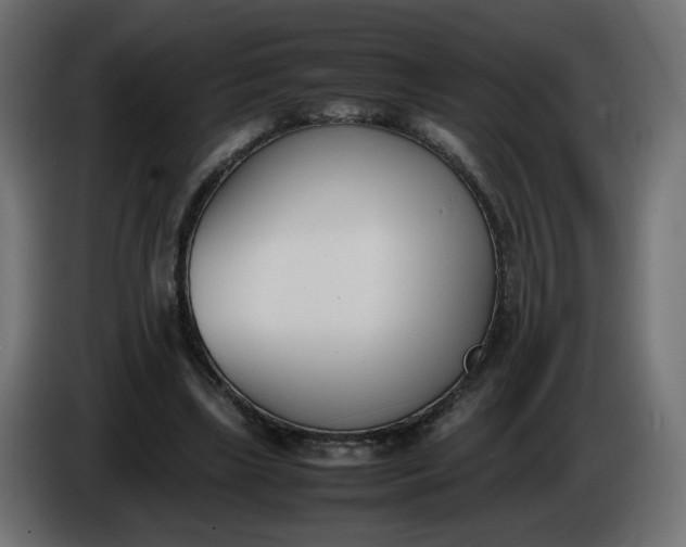 X0000086340443200704131747