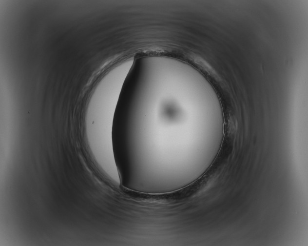 X0000086340444200704131747
