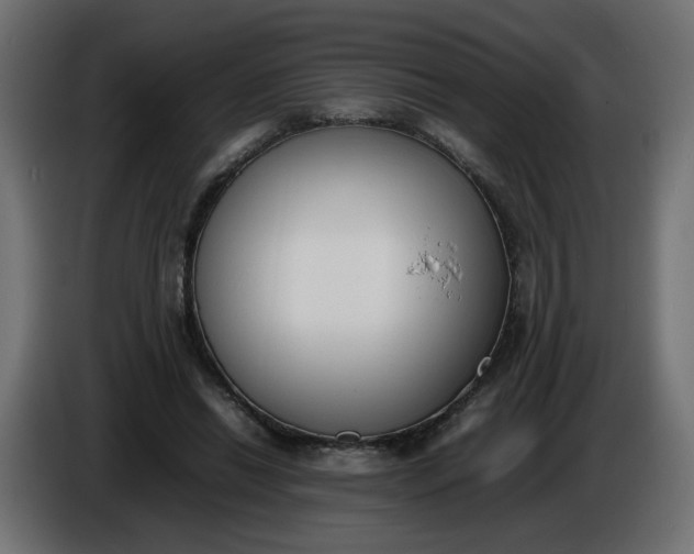 X0000086340446200704131747