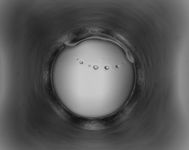 X0000086340451200704131747