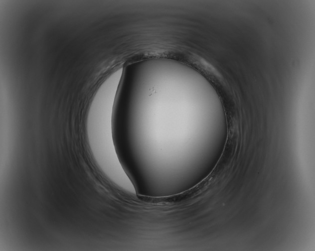 X0000086340452200704131747