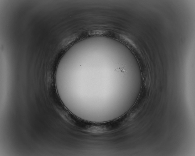 X0000086340455200704131747