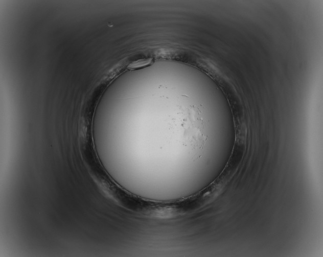 X0000086340456200704131747