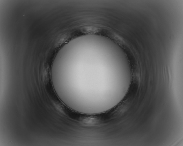 X0000086340460200704131747
