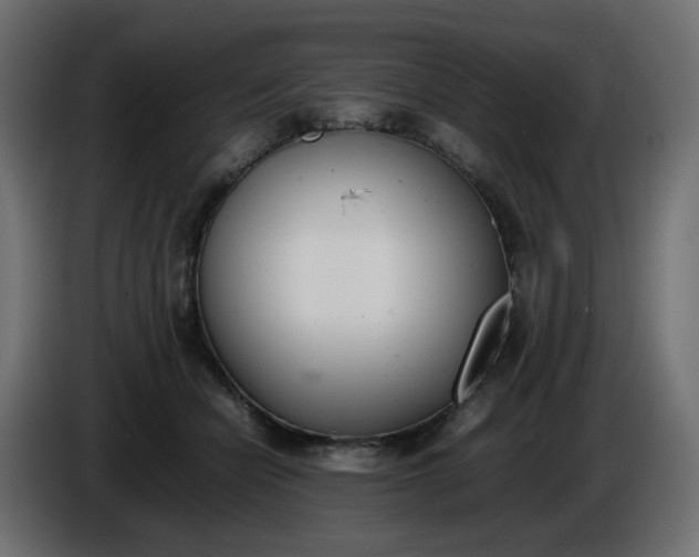 X0000086340462200704131747