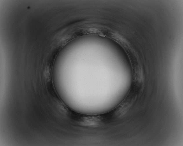 X0000086340465200704131747