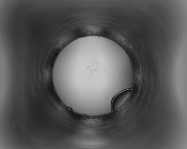 X0000086340468200704131747