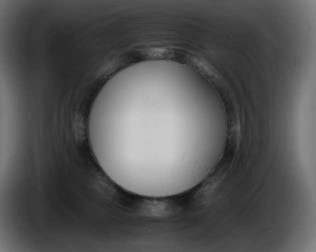 X0000086340469200704131747