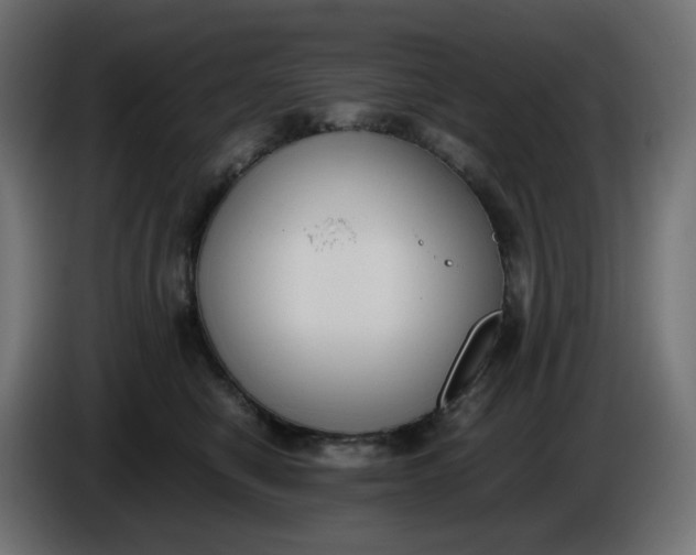 X0000086340470200704131747