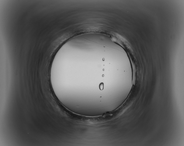 X0000086340481200704131747