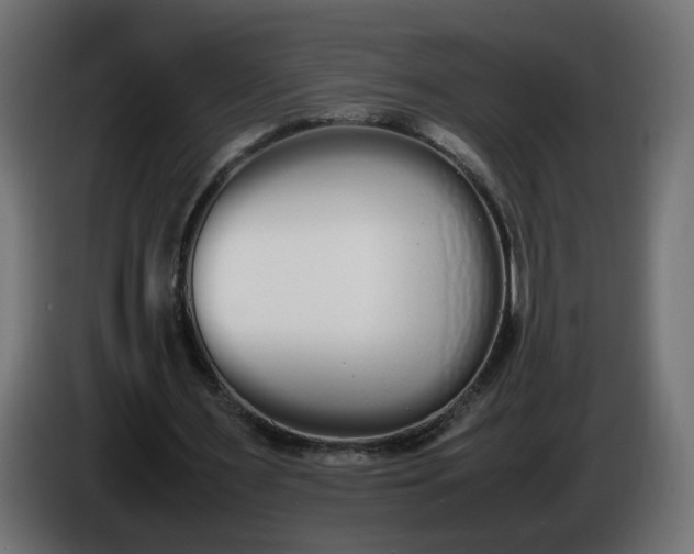 X0000086340483200704131747