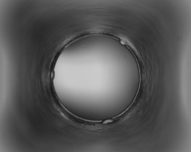 X0000086340485200704131747