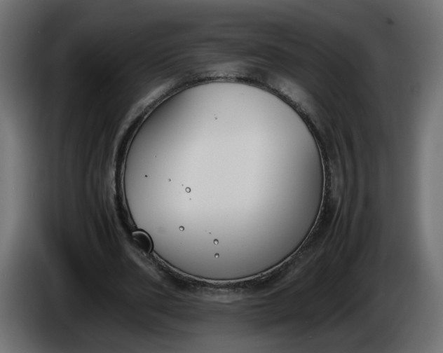 X0000086340486200704131747