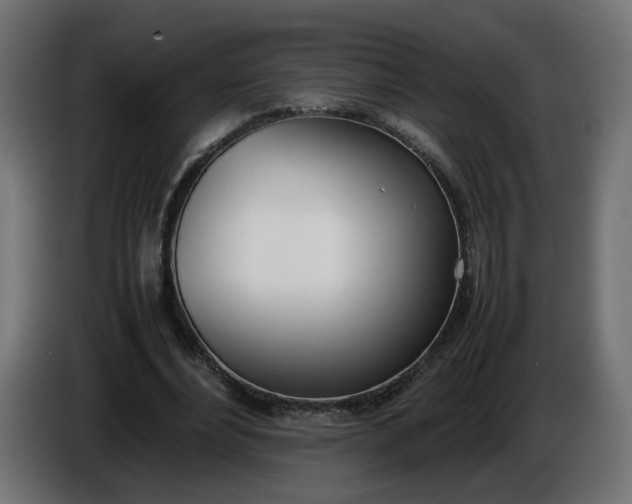 X0000086340488200704131747