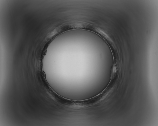 X0000086340489200704131747