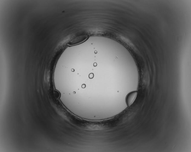 X0000086340494200704131747