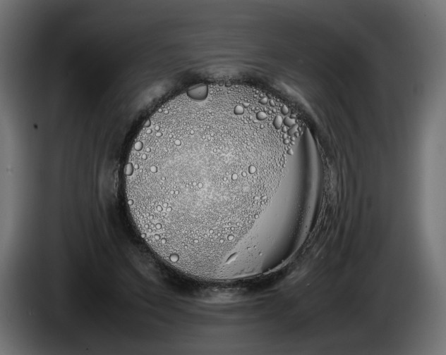 X0000086340495200704131747