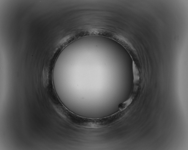 X0000086340496200704131747