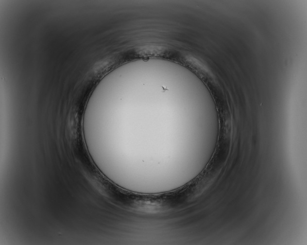 X0000086340498200704131747